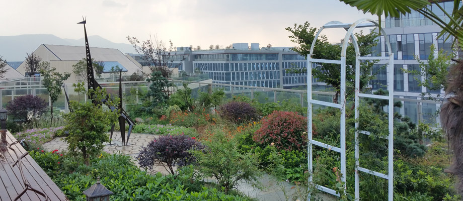 南京萬通城市建設(shè)設(shè)計院弱電系統(tǒng)項目案例。